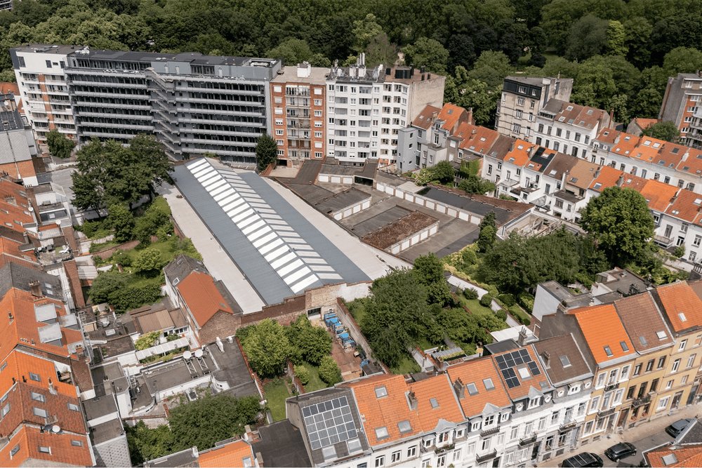 Image de la gallerie